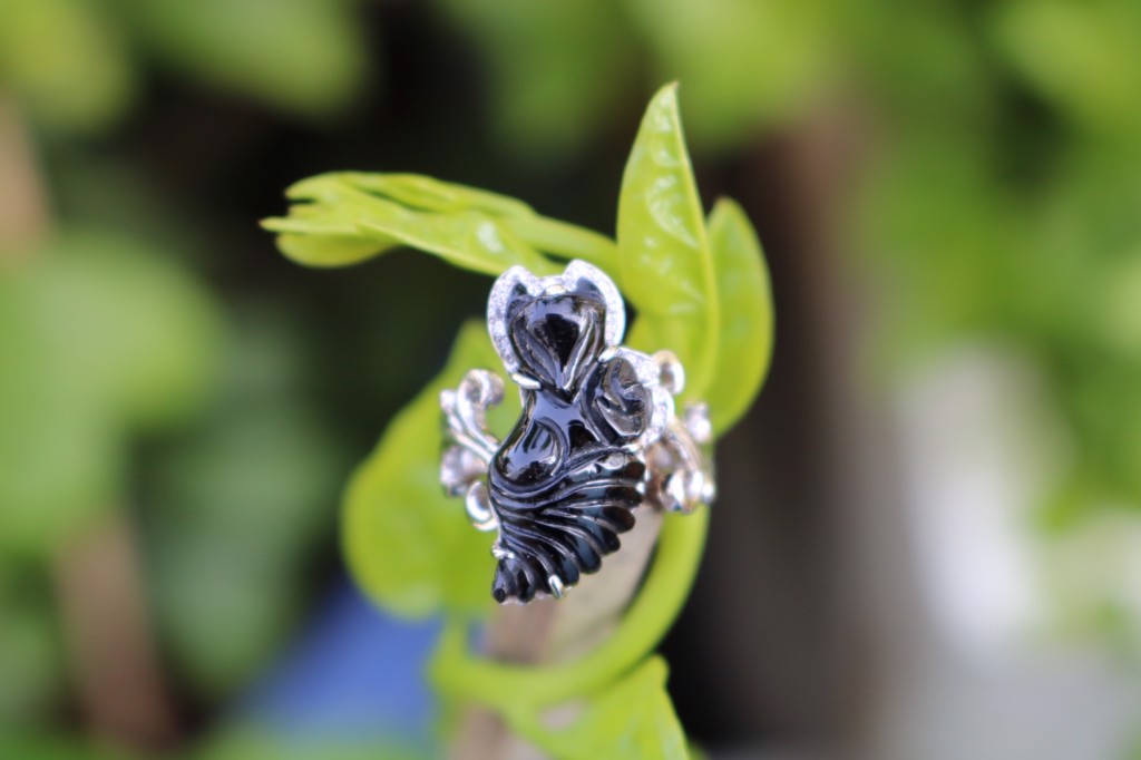 NẾU BẠN KHÔNG PHẢI LÀ MỘT CÁI CÂY, VÌ CỚ GÌ LẠI Ở YÊN MỘT CHỖ ?